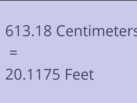 613.18 CM TO FEET