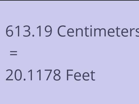 613.19 CM TO FEET