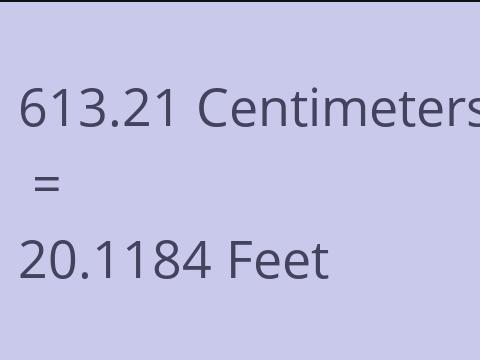 613.21 CM TO FEET