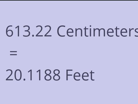 613.22 CM TO FEET