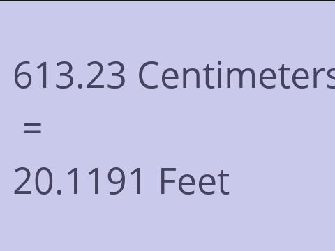 613.23 CM TO FEET