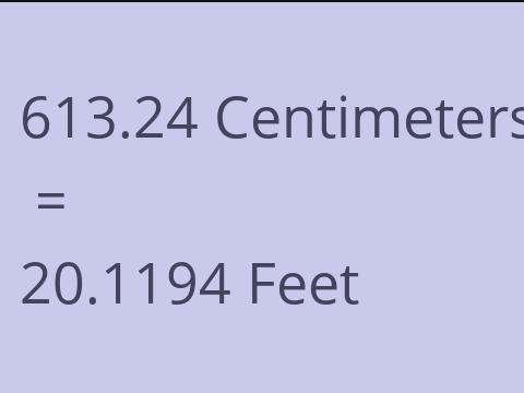 613.24 CM TO FEET