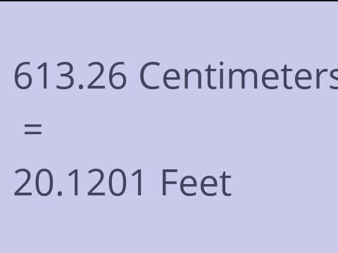 613.26 CM TO FEET