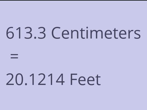 613.3 CM TO FEET