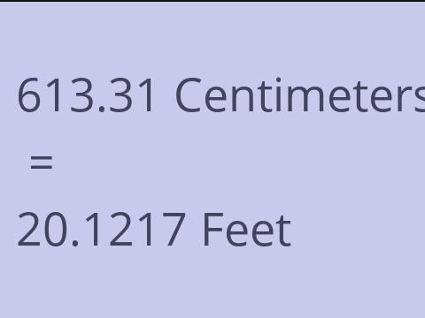 613.31 CM TO FEET