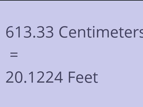 613.33 CM TO FEET