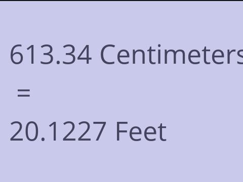 613.34 CM TO FEET