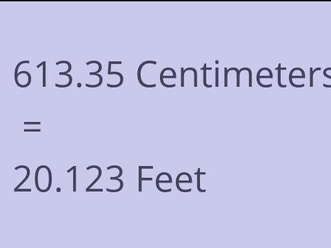 613.35 CM TO FEET