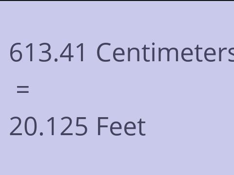 613.41 CM TO FEET