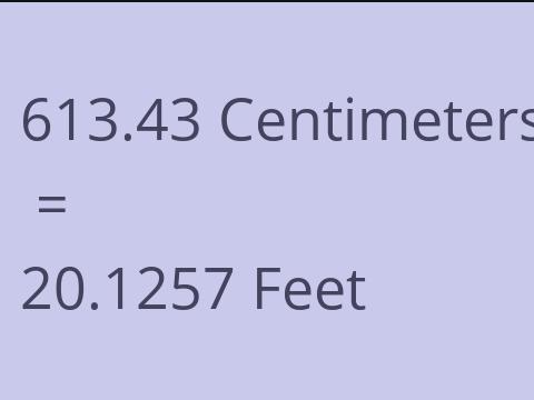 613.43 CM TO FEET