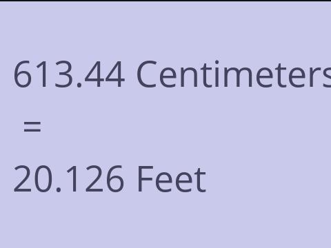 613.44 CM TO FEET