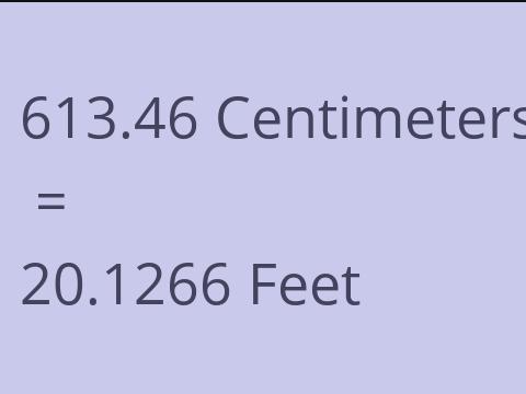 613.46 CM TO FEET