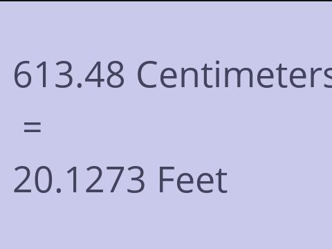 613.48 CM TO FEET