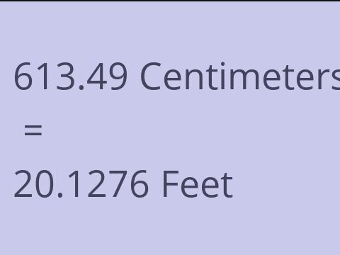 613.49 CM TO FEET