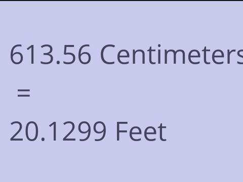 613.56 CM TO FEET