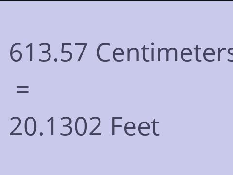 613.57 CM TO FEET