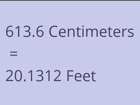 613.6 CM TO FEET