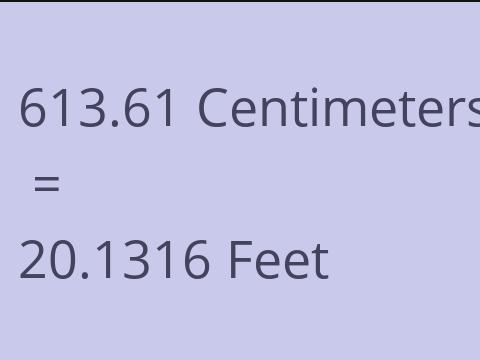 613.61 CM TO FEET