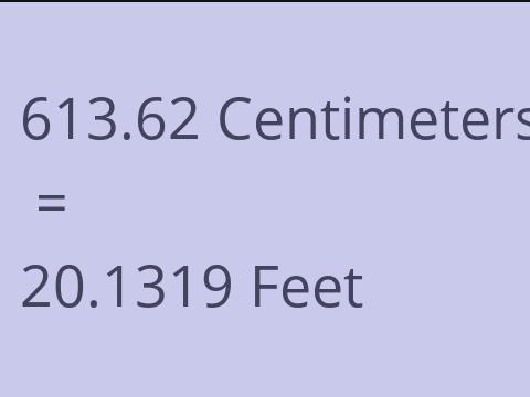 613.62 CM TO FEET