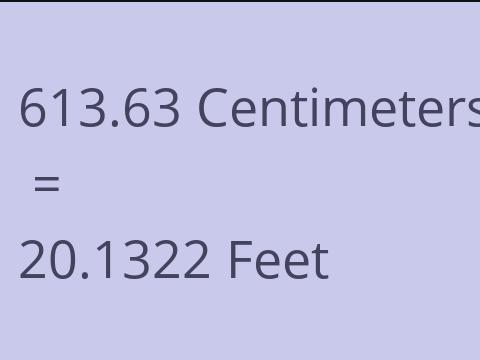 613.63 CM TO FEET