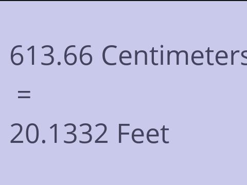 613.66 CM TO FEET