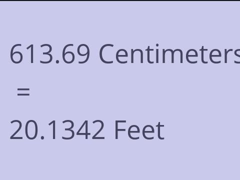 613.69 CM TO FEET