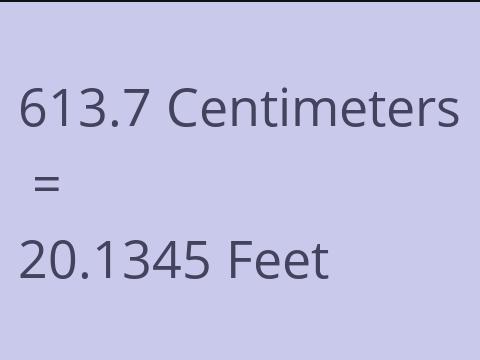 613.7 CM TO FEET