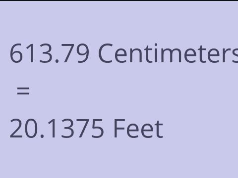 613.79 CM TO FEET