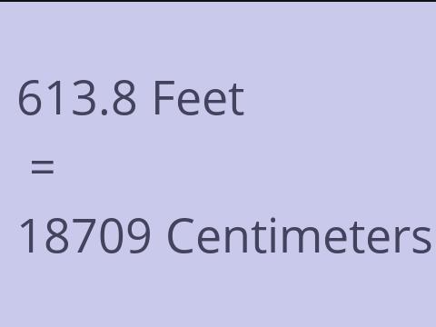 613.8 FEET TO CM