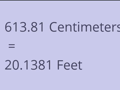 613.81 CM TO FEET