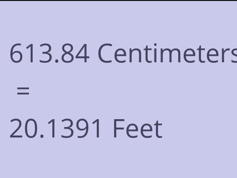 613.84 CM TO FEET