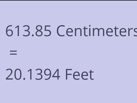 613.85 CM TO FEET