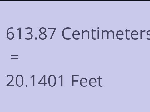 613.87 CM TO FEET