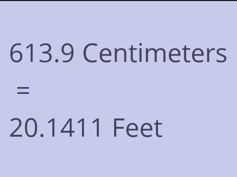 613.9 CM TO FEET