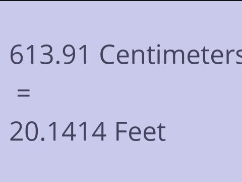 613.91 CM TO FEET