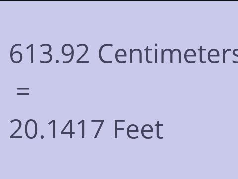 613.92 CM TO FEET