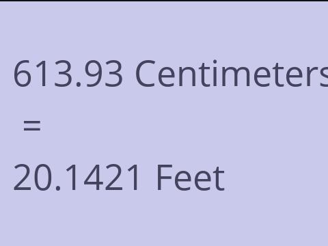 613.93 CM TO FEET