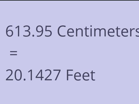 613.95 CM TO FEET