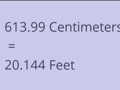 613.99 CM TO FEET