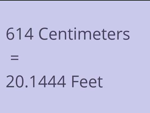 614 CM TO FEET