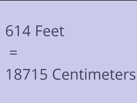 614 FEET TO CM