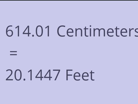 614.01 CM TO FEET