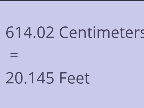 614.02 CM TO FEET