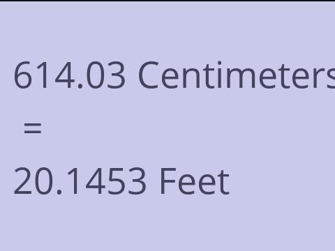 614.03 CM TO FEET