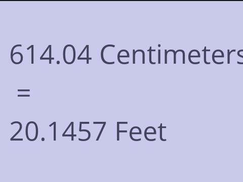 614.04 CM TO FEET