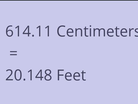 614.11 CM TO FEET