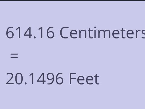 614.16 CM TO FEET