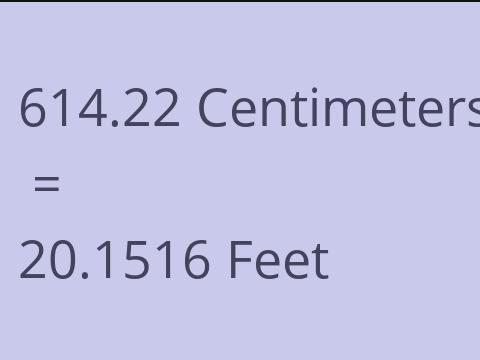 614.22 CM TO FEET