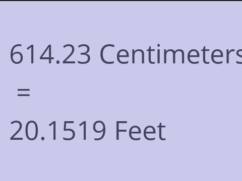 614.23 CM TO FEET