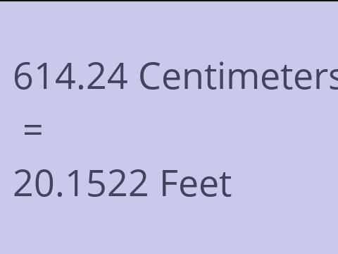 614.24 CM TO FEET